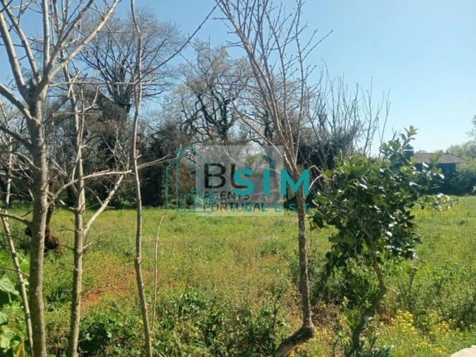 Moradia T3 para Venda em Abiul Foto 14