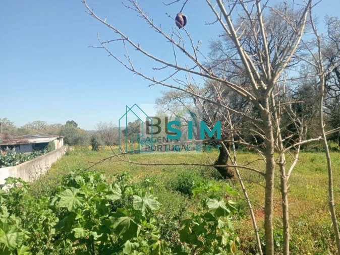 Moradia T3 para Venda em Abiul Foto 13