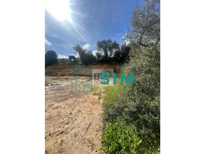 Terreno para Venda em Almancil Foto 5