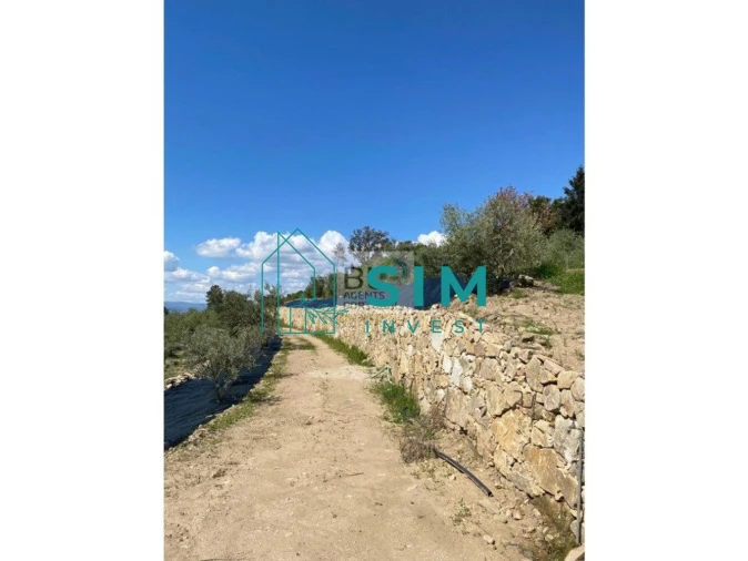 Quinta T5 para Venda em Lamego (Almacave e Sé) Foto 4