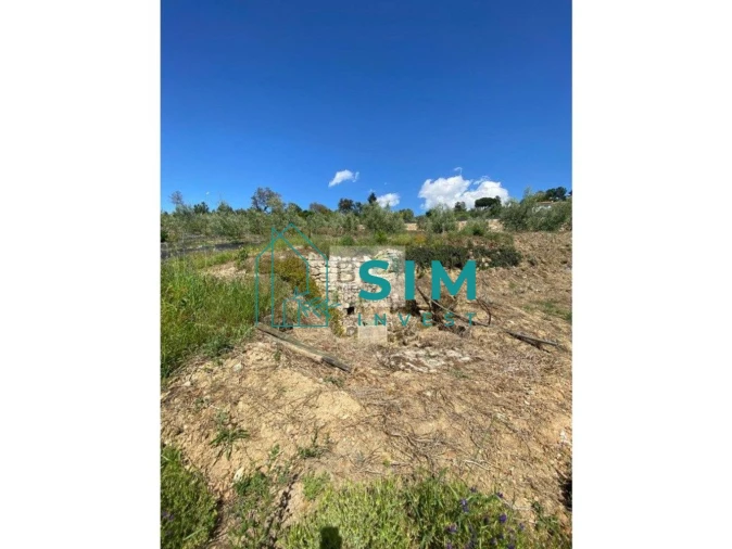 Quinta T5 para Venda em Lamego (Almacave e Sé) Foto 18