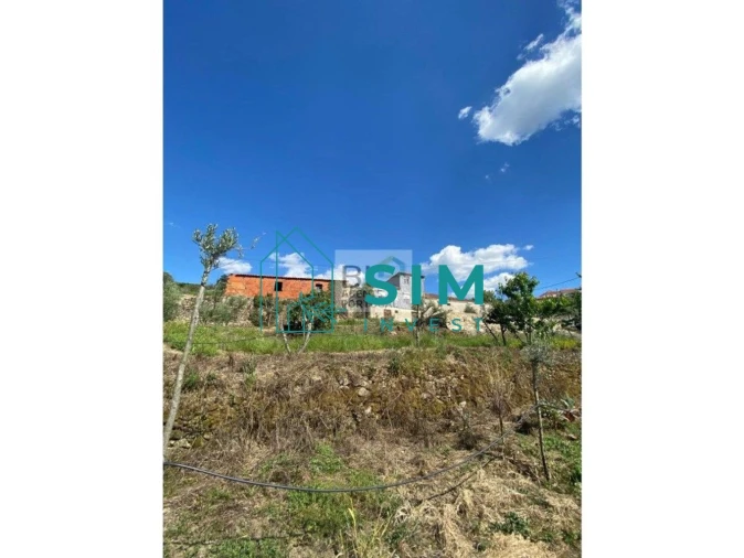 Quinta T5 para Venda em Lamego (Almacave e Sé) Foto 17