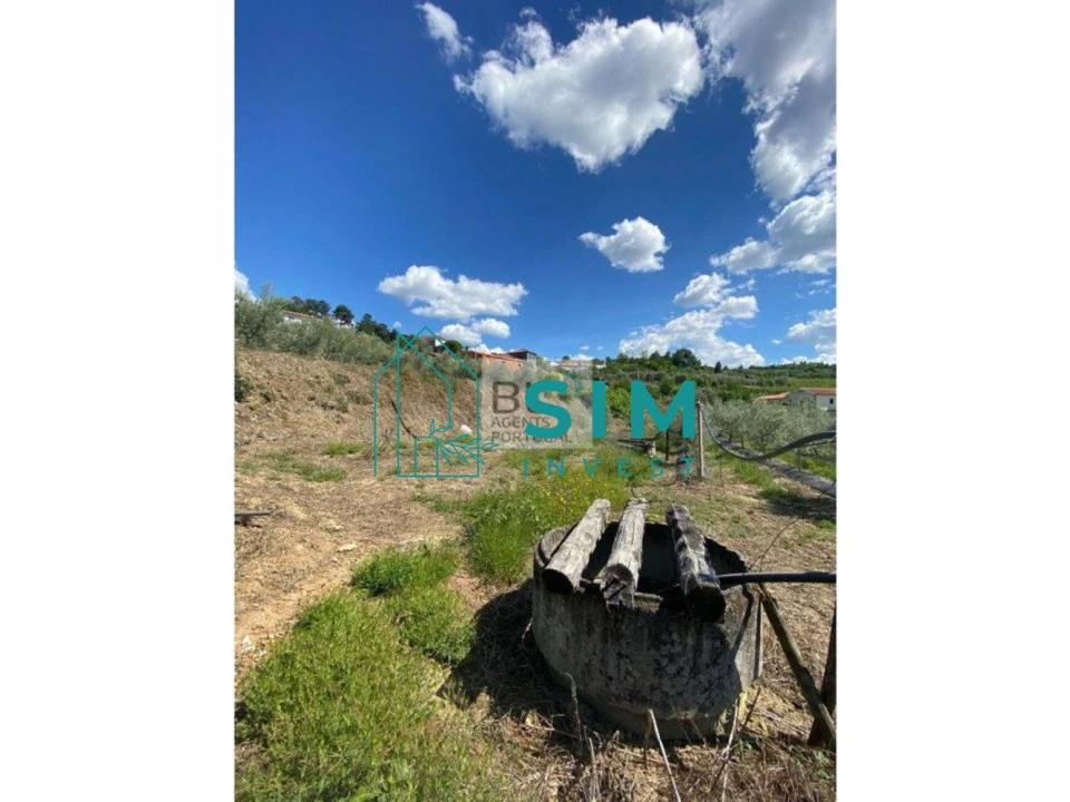 Quinta T5 para Venda em Lamego (Almacave e Sé) Foto 14