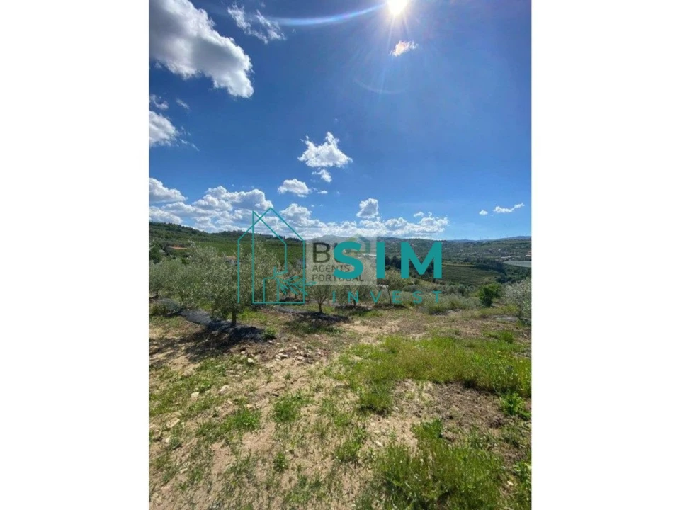 Quinta T5 para Venda em Lamego (Almacave e Sé) Foto 10