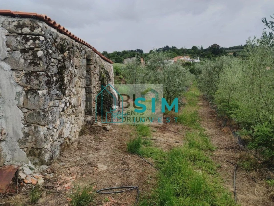 Quinta T5 para Venda em Lamego (Almacave e Sé) Foto 22