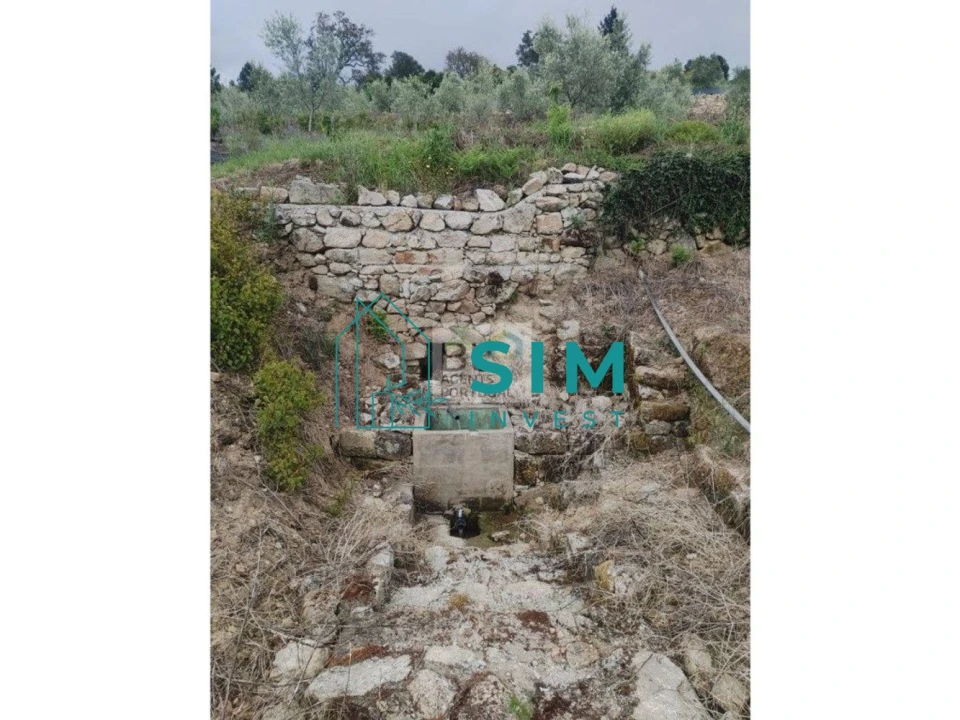 Quinta T5 para Venda em Lamego (Almacave e Sé) Foto 21