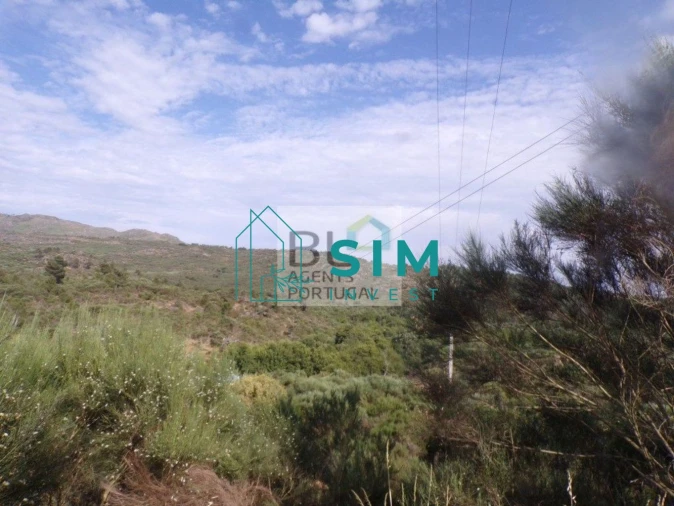 Terreno para Venda em Torre do Pinhão Foto 9