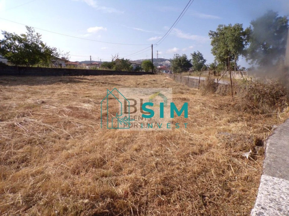 Terreno para Venda em Torre do Pinhão Foto 2