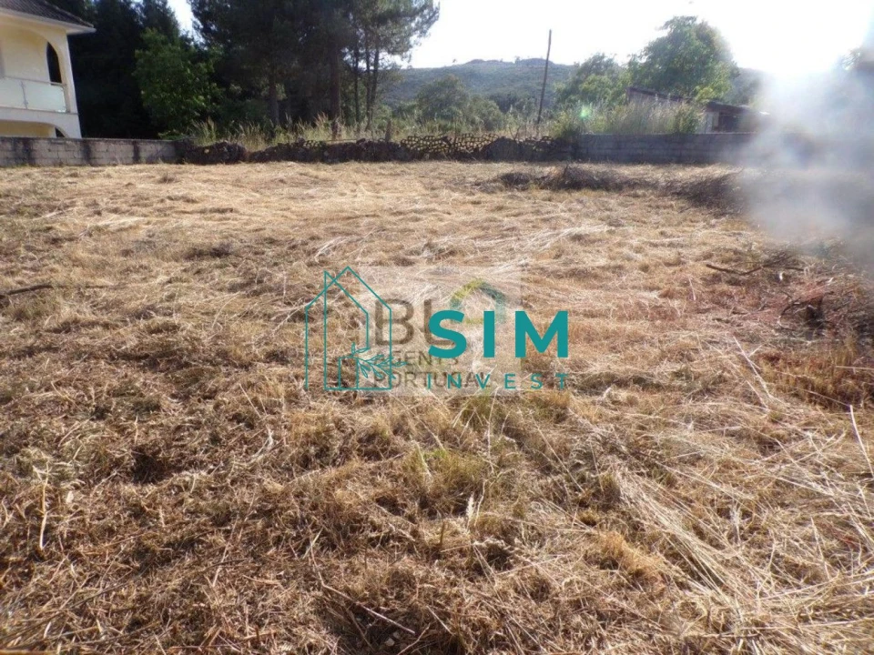 Terreno para Venda em Torre do Pinhão Foto 1