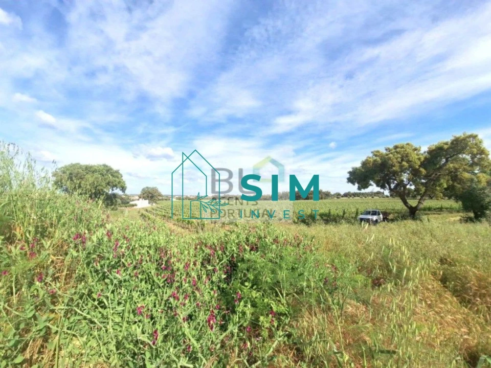 Quinta T4 para Venda em São Miguel de Machede Foto 5