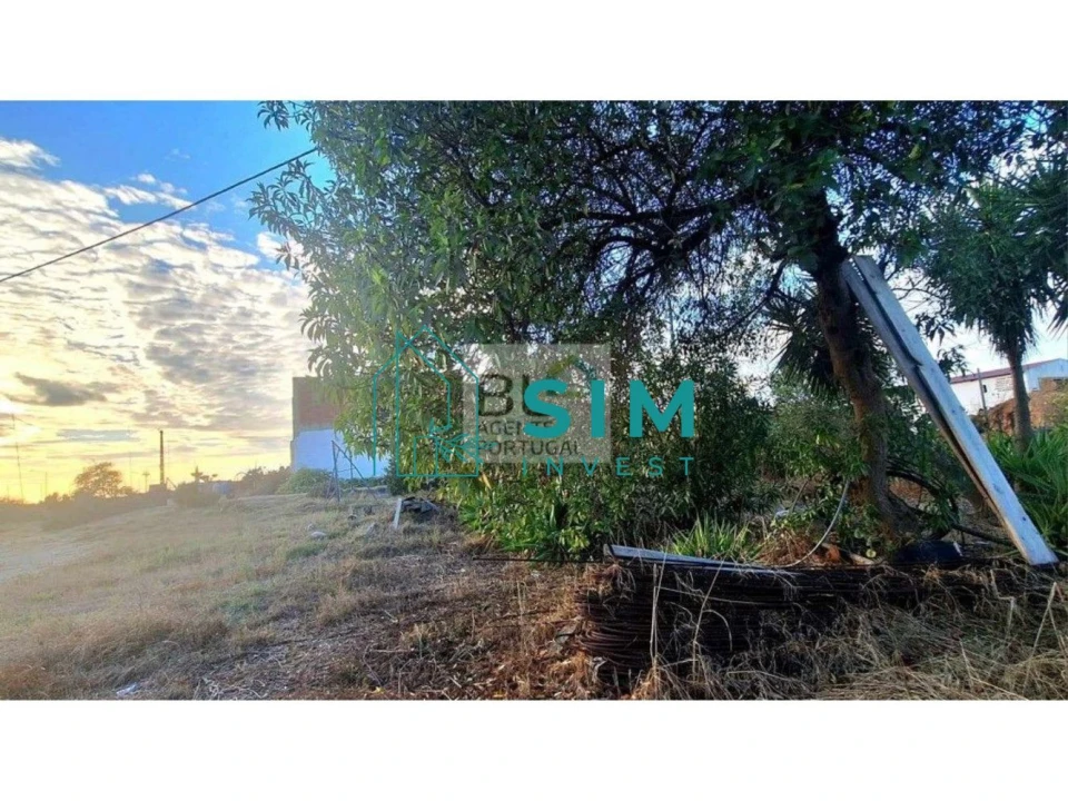 Loja para Venda em Vidigueira Foto 14