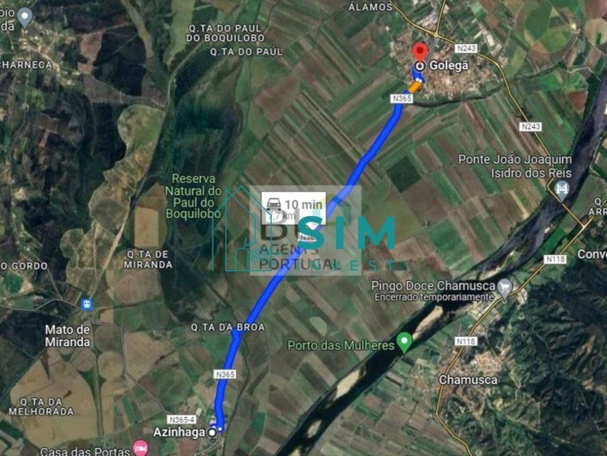 Terreno para Venda em Azinhaga Foto 9