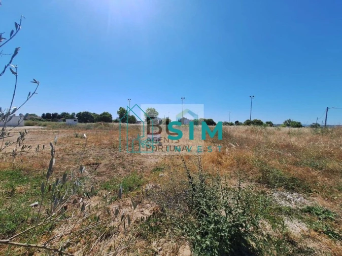 Terreno para Venda em Azinhaga Foto 11