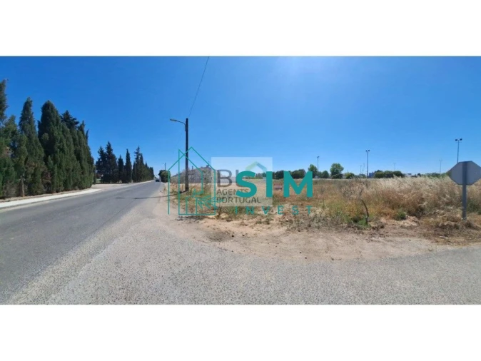 Terreno para Venda em Azinhaga Foto 2