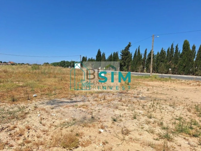 Terreno para Venda em Azinhaga Foto 5