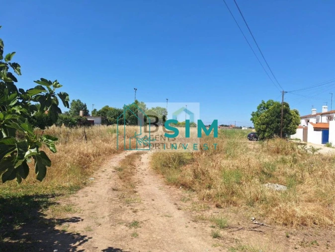 Terreno para Venda em Azinhaga Foto 10