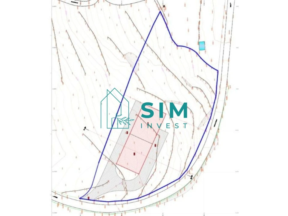 Terreno para Venda em Freigil e Miomães Foto 27