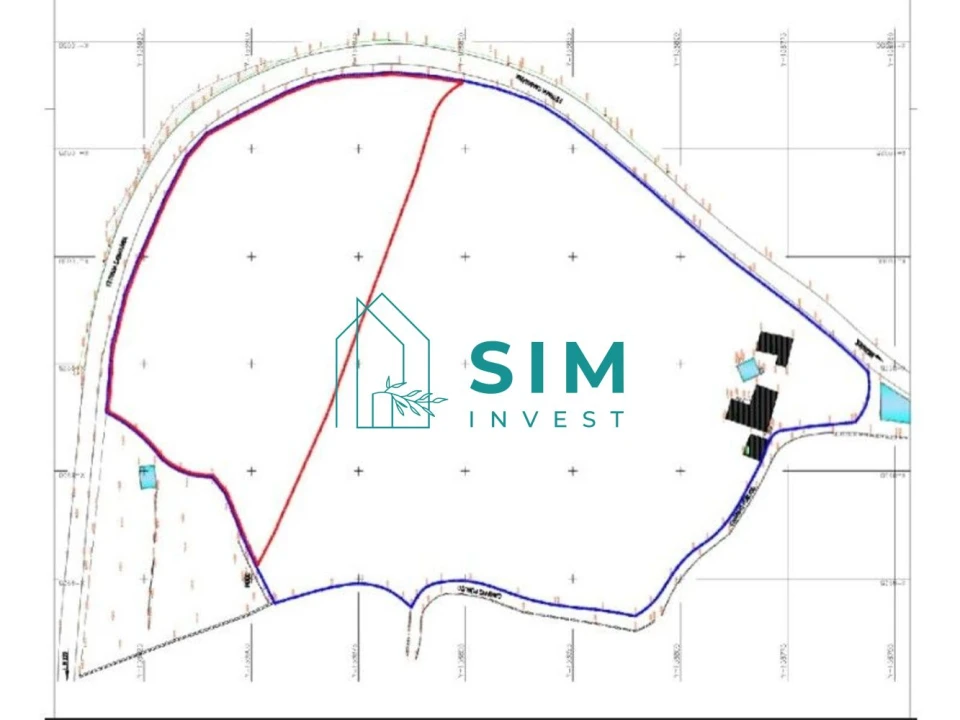 Terreno para Venda em Freigil e Miomães Foto 26