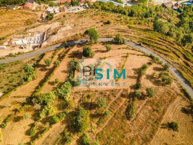 Terreno para Venda em Freigil e Miomães Foto 4