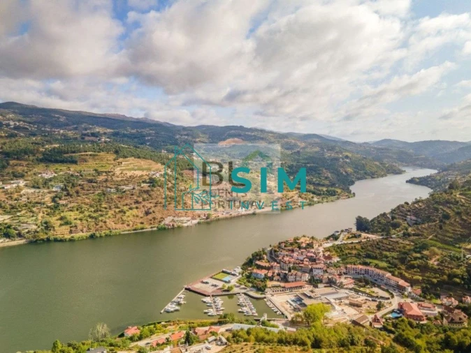 Terreno para Venda em Freigil e Miomães Foto 16