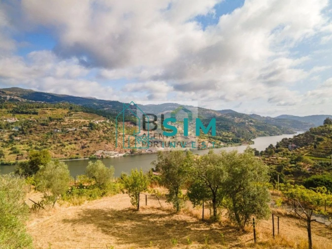 Terreno para Venda em Freigil e Miomães Foto 25