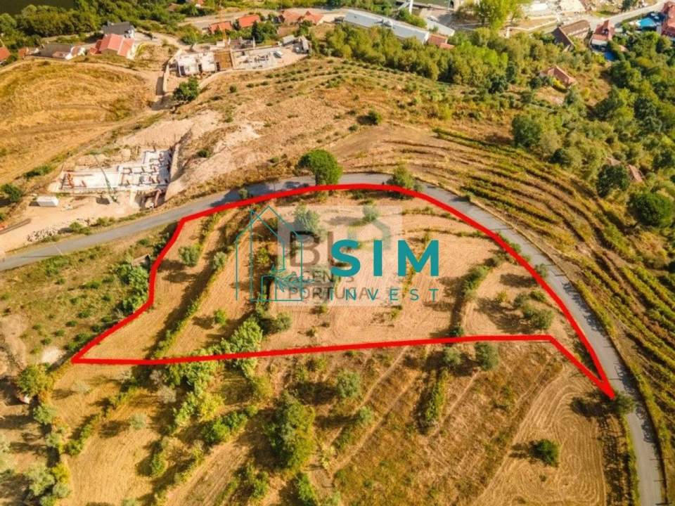 Terreno para Venda em Freigil e Miomães Foto 1