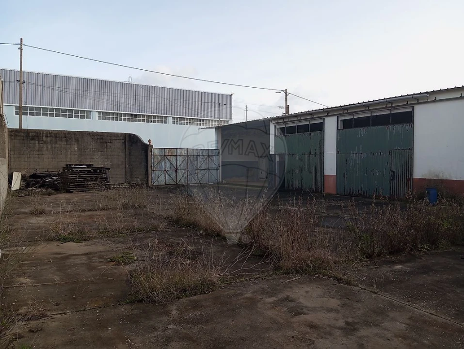 Armazém para Venda em Alcanena e Vila Moreira Foto 8
