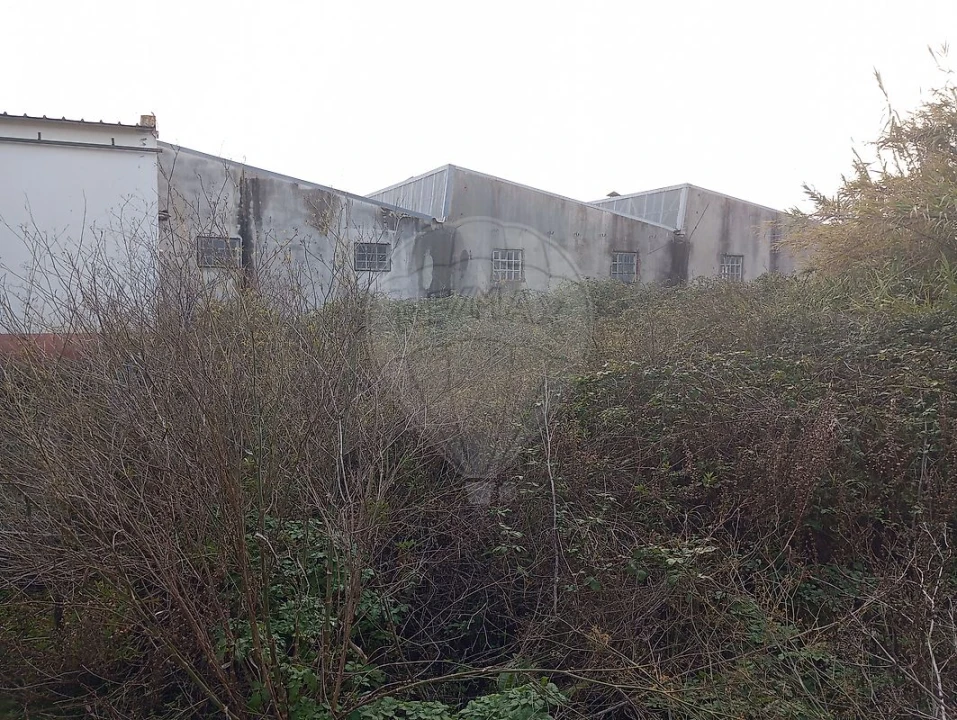 Armazém para Venda em Alcanena e Vila Moreira Foto 9