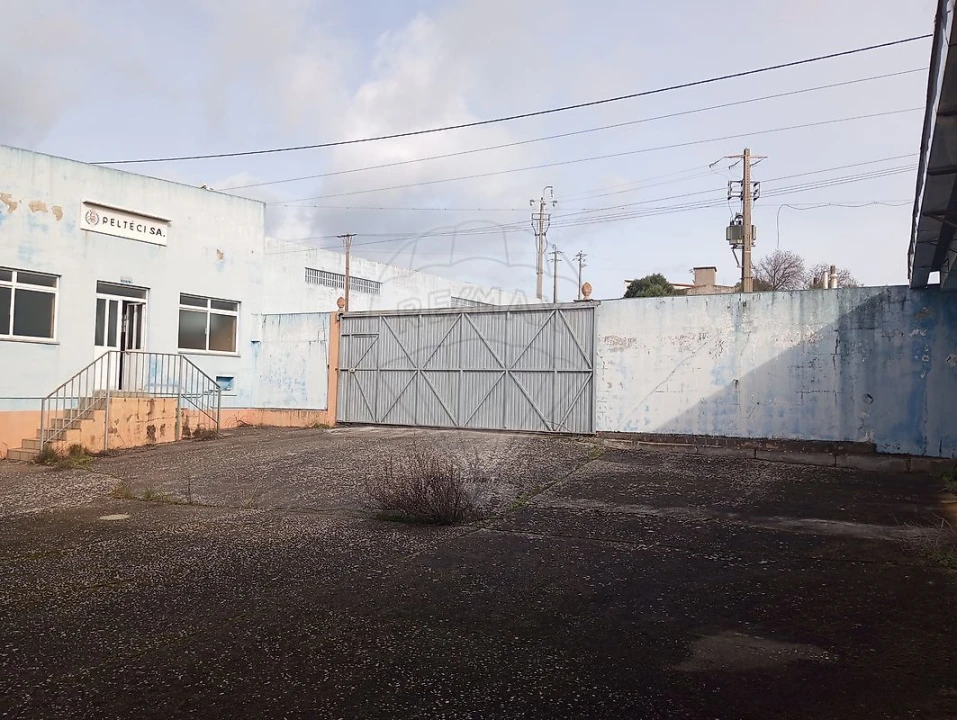 Armazém para Venda em Alcanena e Vila Moreira Foto 24