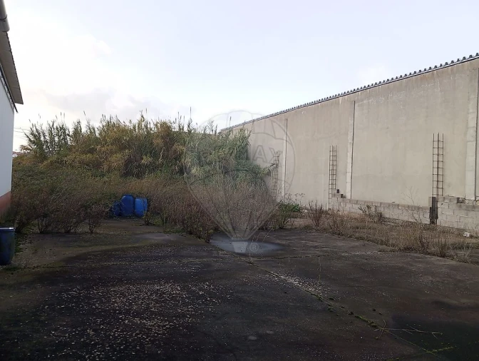 Armazém para Venda em Alcanena e Vila Moreira Foto 10