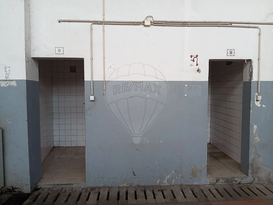 Armazém para Venda em Alcanena e Vila Moreira Foto 29