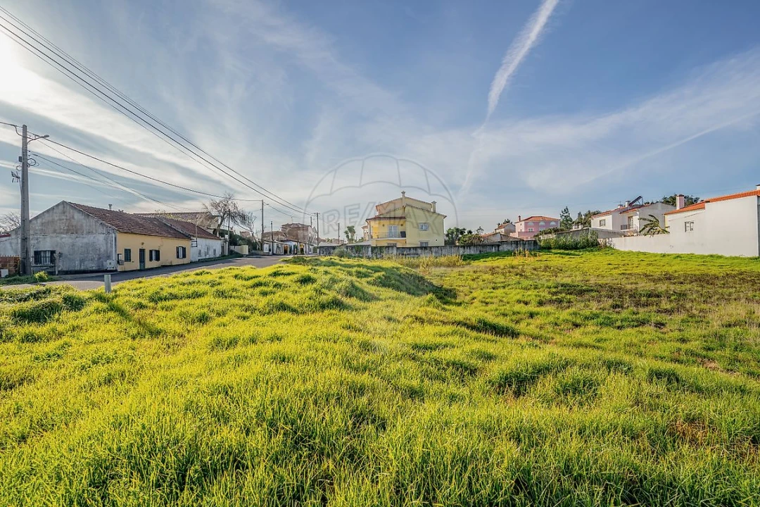 Terreno para Venda em Nossa Senhora do Pópulo, Coto e São Gregório Foto 14