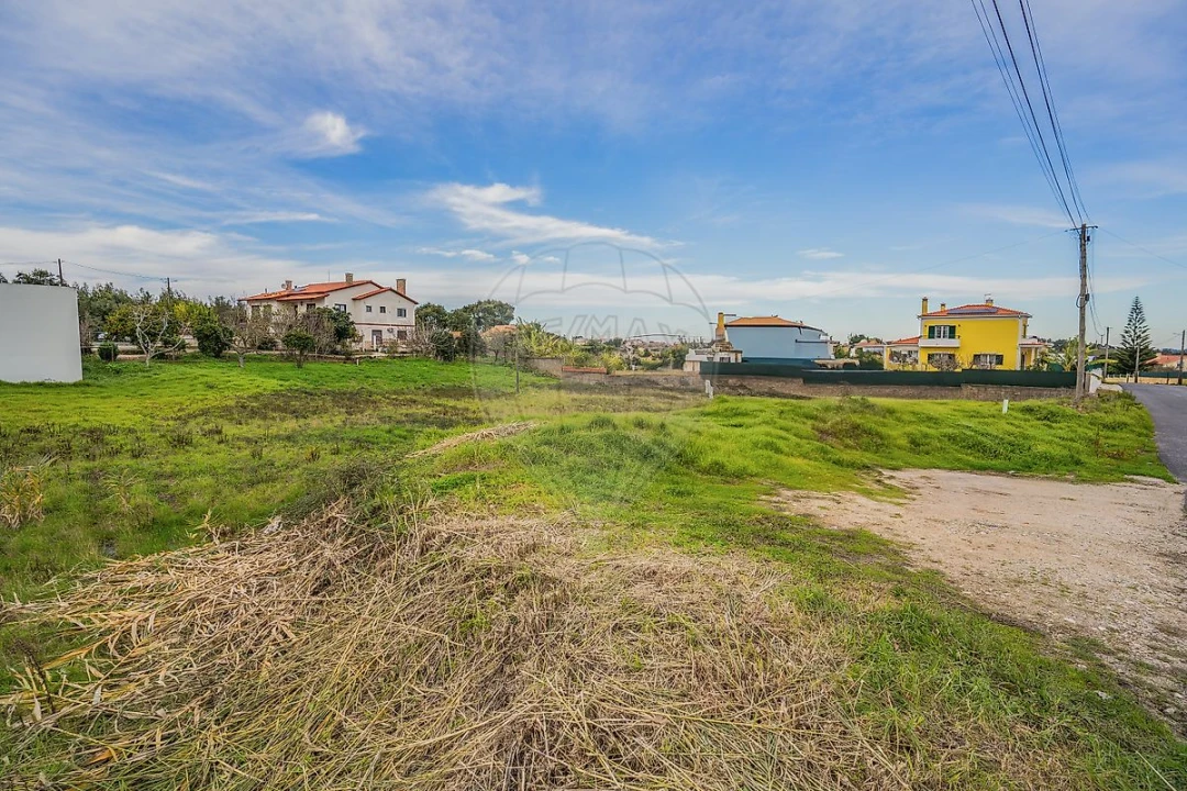 Terreno para Venda em Nossa Senhora do Pópulo, Coto e São Gregório Foto 15
