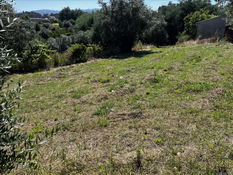 Terreno Agricola ou Rústico para Venda em Arrifana Foto 4
