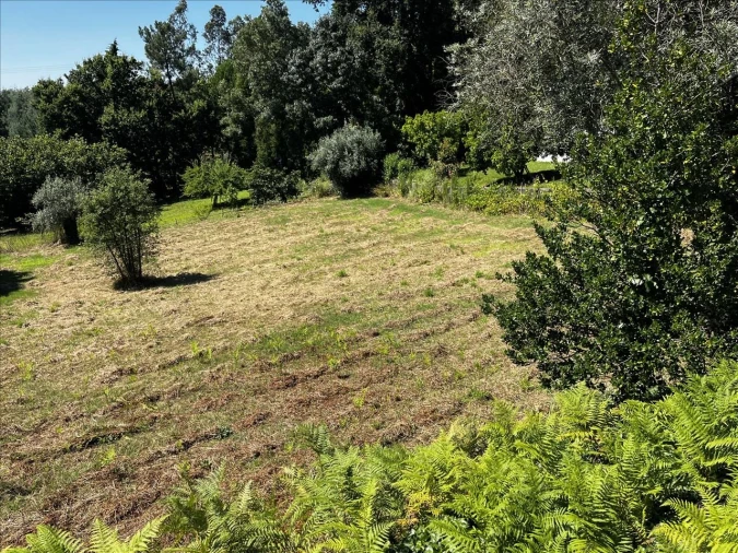 Terreno Agricola ou Rústico para Venda em Arrifana
