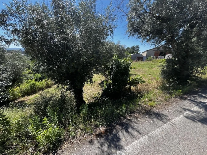 Terreno Agricola ou Rústico para Venda em Arrifana Foto 11