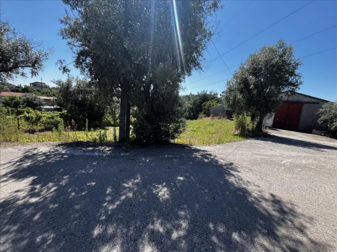 Terreno Agricola ou Rústico para Venda em Arrifana Foto 8