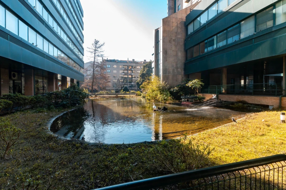 Negócio para Venda em Ramalde Foto 9