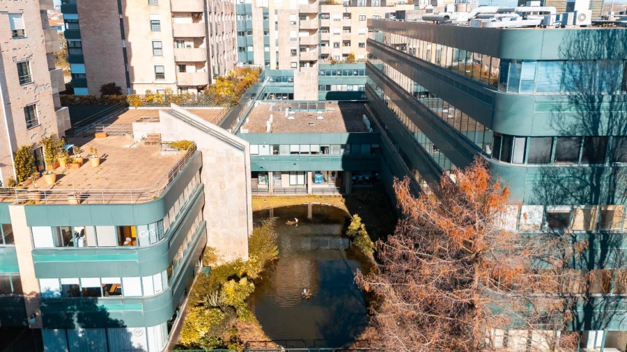 Negócio para Arrendamento em Ramalde Foto 15