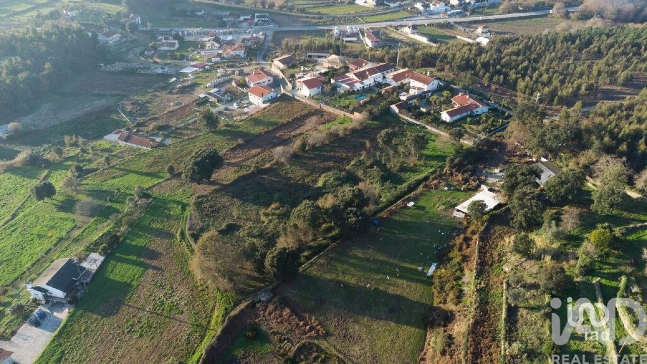 Terreno para Venda em Pinheiro da Bemposta, Travanca e Palmaz Foto 4