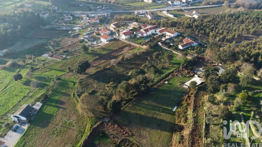 Terreno para Venda em Pinheiro da Bemposta, Travanca e Palmaz Foto 7