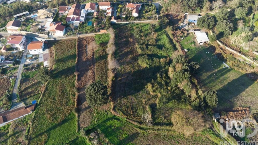 Terreno para Venda em Pinheiro da Bemposta, Travanca e Palmaz Foto 5