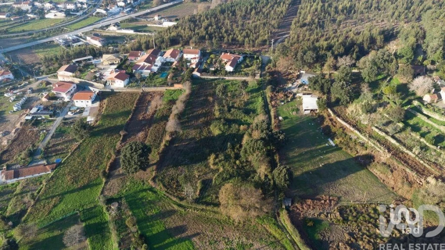 Terreno para Venda em Pinheiro da Bemposta, Travanca e Palmaz Foto 6