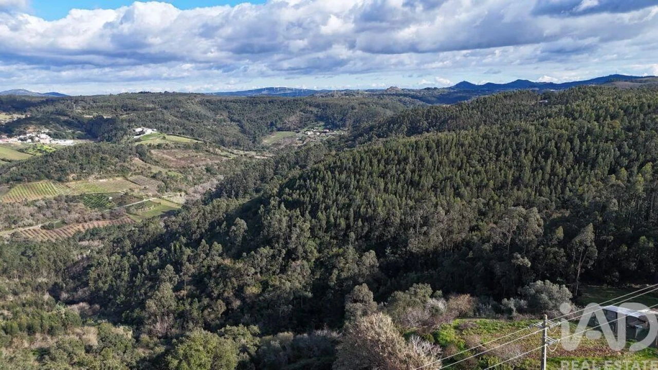 Terreno para Venda em Mafra Foto 29