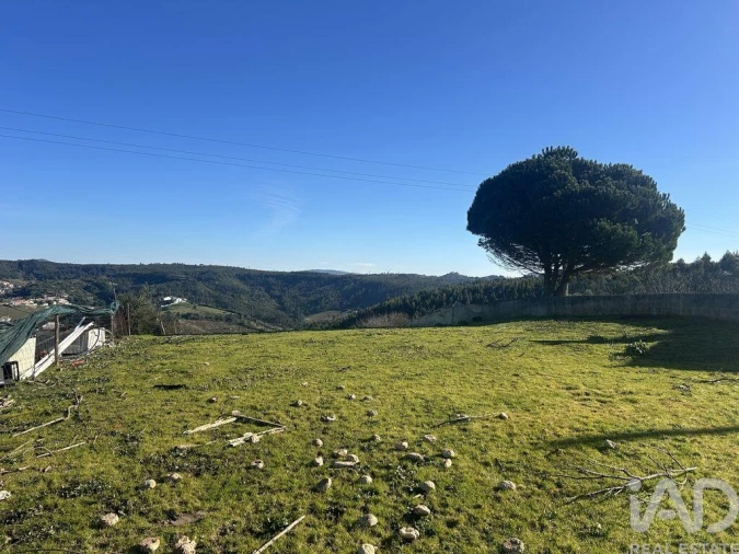 Terreno para Venda em Santo Isidoro Foto 28