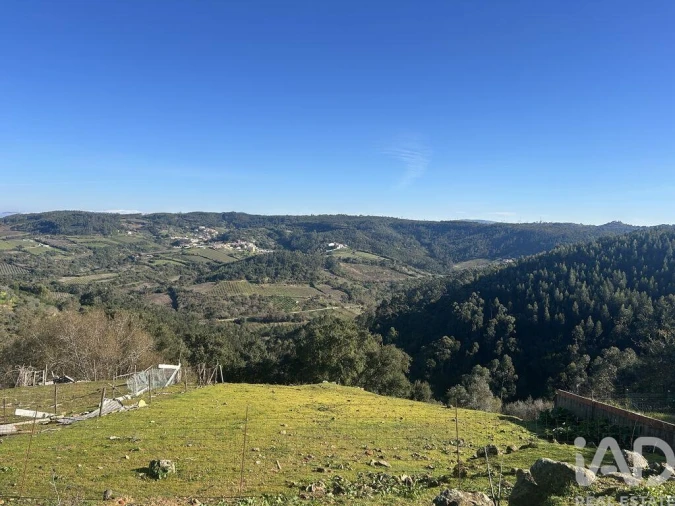 Terreno para Venda em Santo Isidoro Foto 22