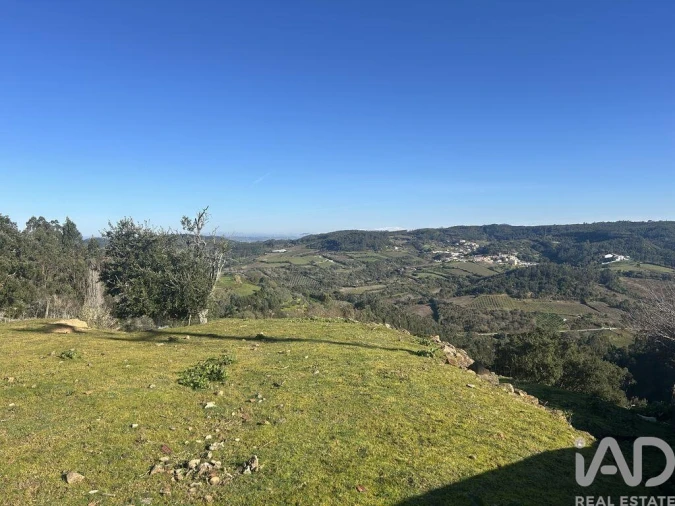 Terreno para Venda em Santo Isidoro Foto 24