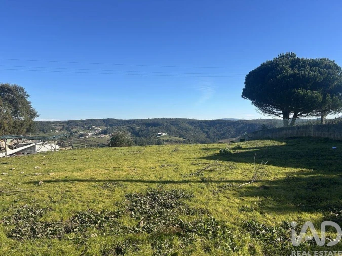 Terreno para Venda em Santo Isidoro Foto 26