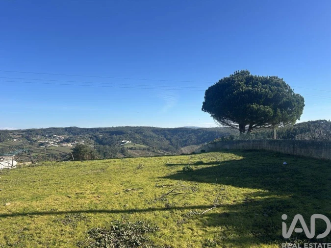 Terreno para Venda em Santo Isidoro Foto 27