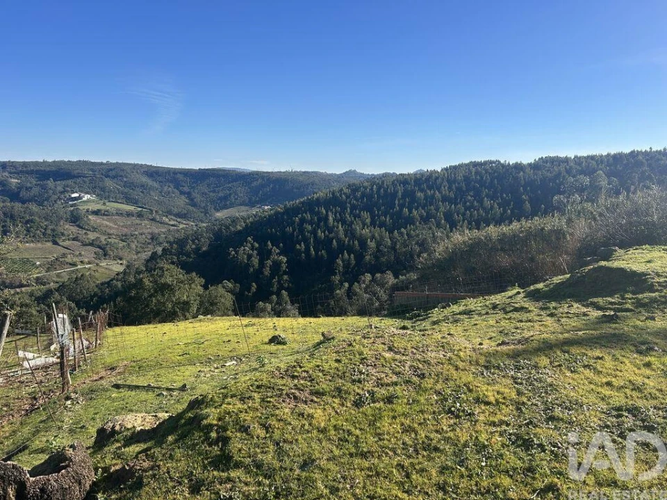 Terreno para Venda em Santo Isidoro Foto 23